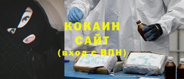 твердый Арсеньев