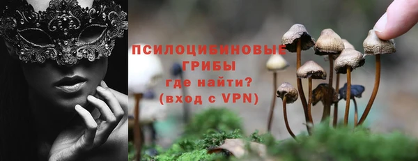 твердый Арсеньев