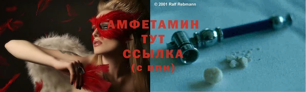 твердый Арсеньев