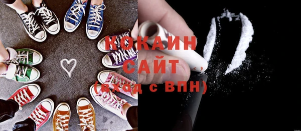 твердый Арсеньев
