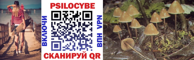 где можно купить   Учалы  ОМГ ОМГ ТОР  Галлюциногенные грибы Psilocybe 